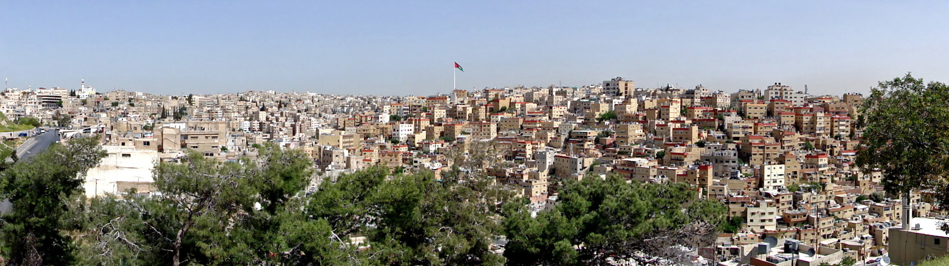 Amman (Amman) Rees Vue