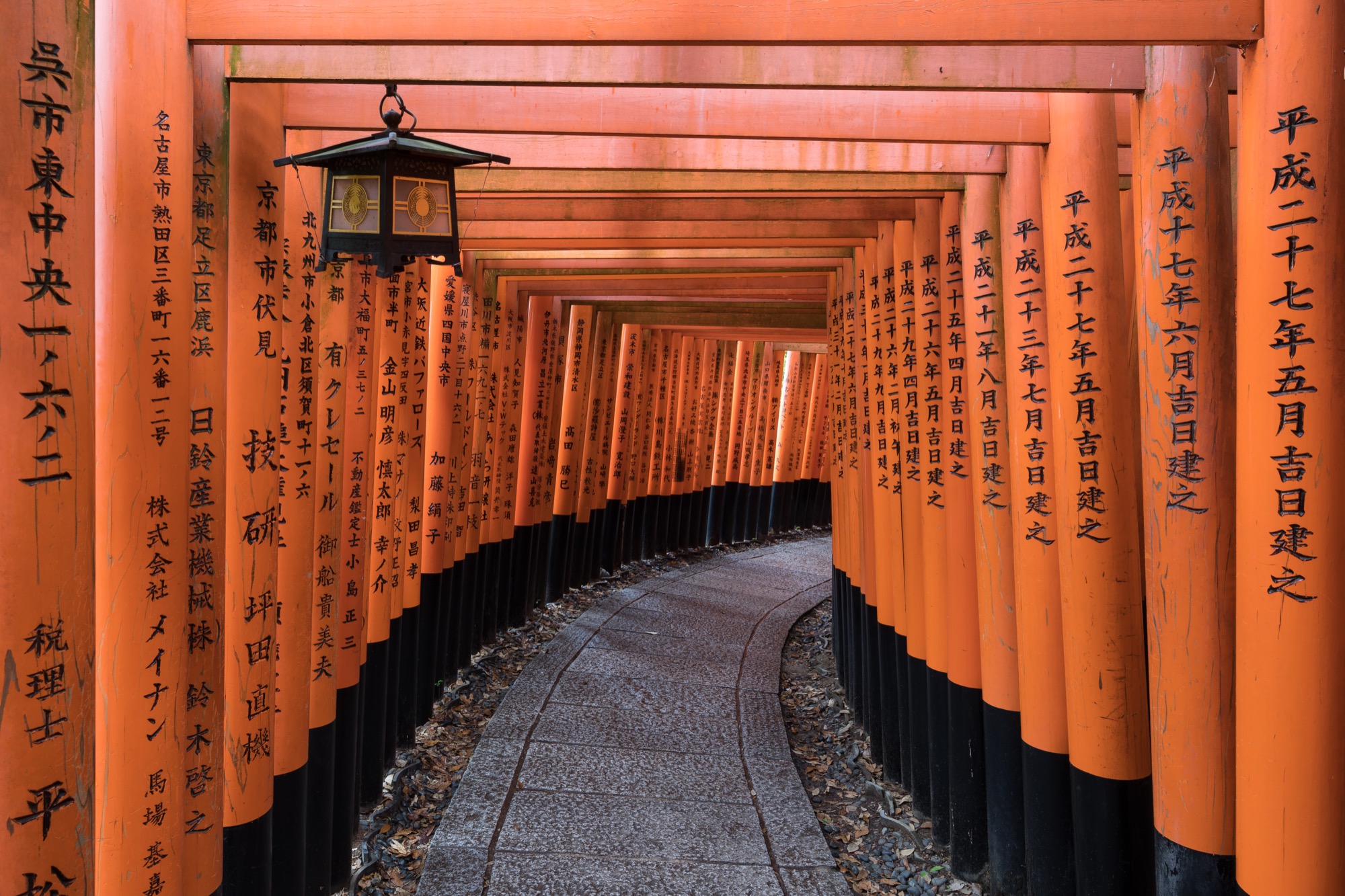 Japan - 伏见稻荷大社(Fushimi Inari)