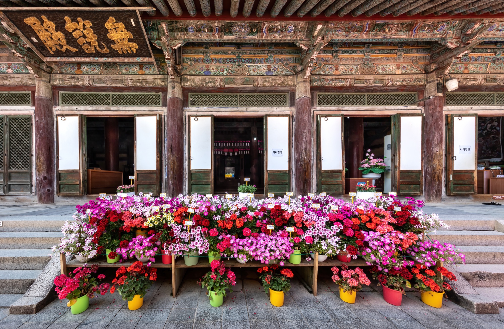 Korea - 庆州(Gyeongju)