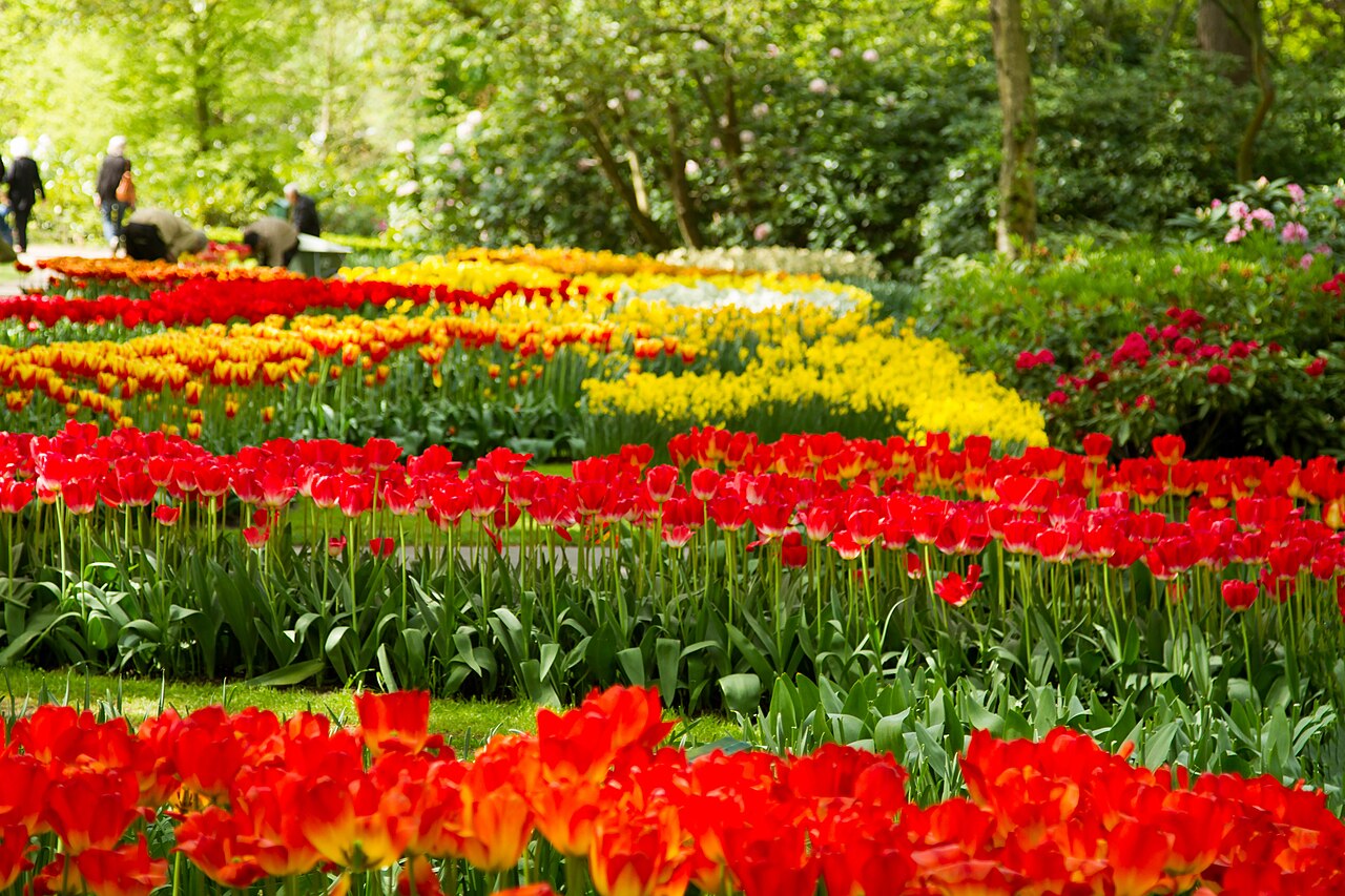 Eindhoven / Keukenhof:PSV 或花季收尾 Route Bild
