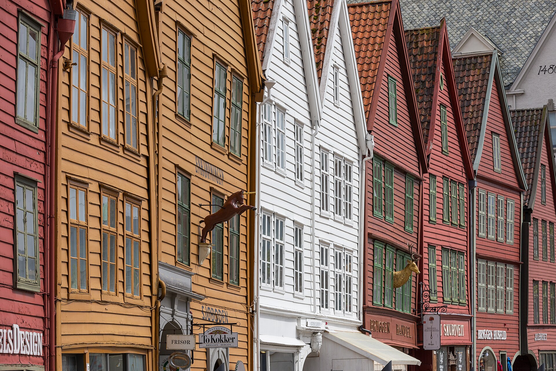 Bergen Line(Bergensbanen) Reiseansichten