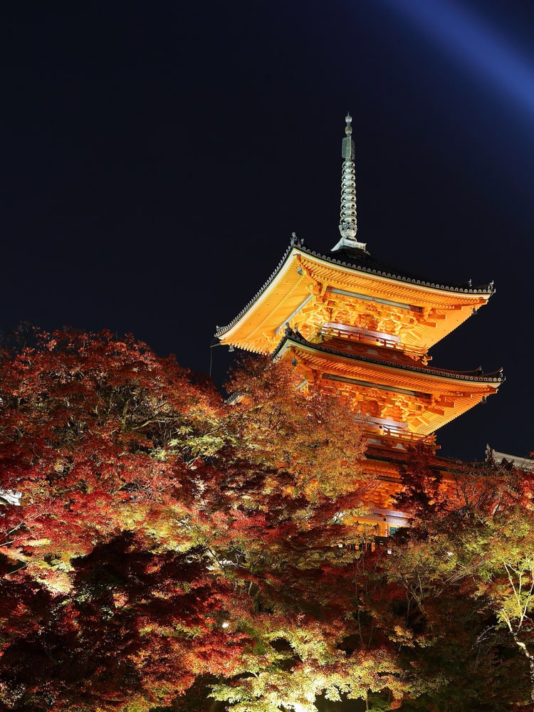 京都:清晨寺社和傍晚鸭川 노선 이미지