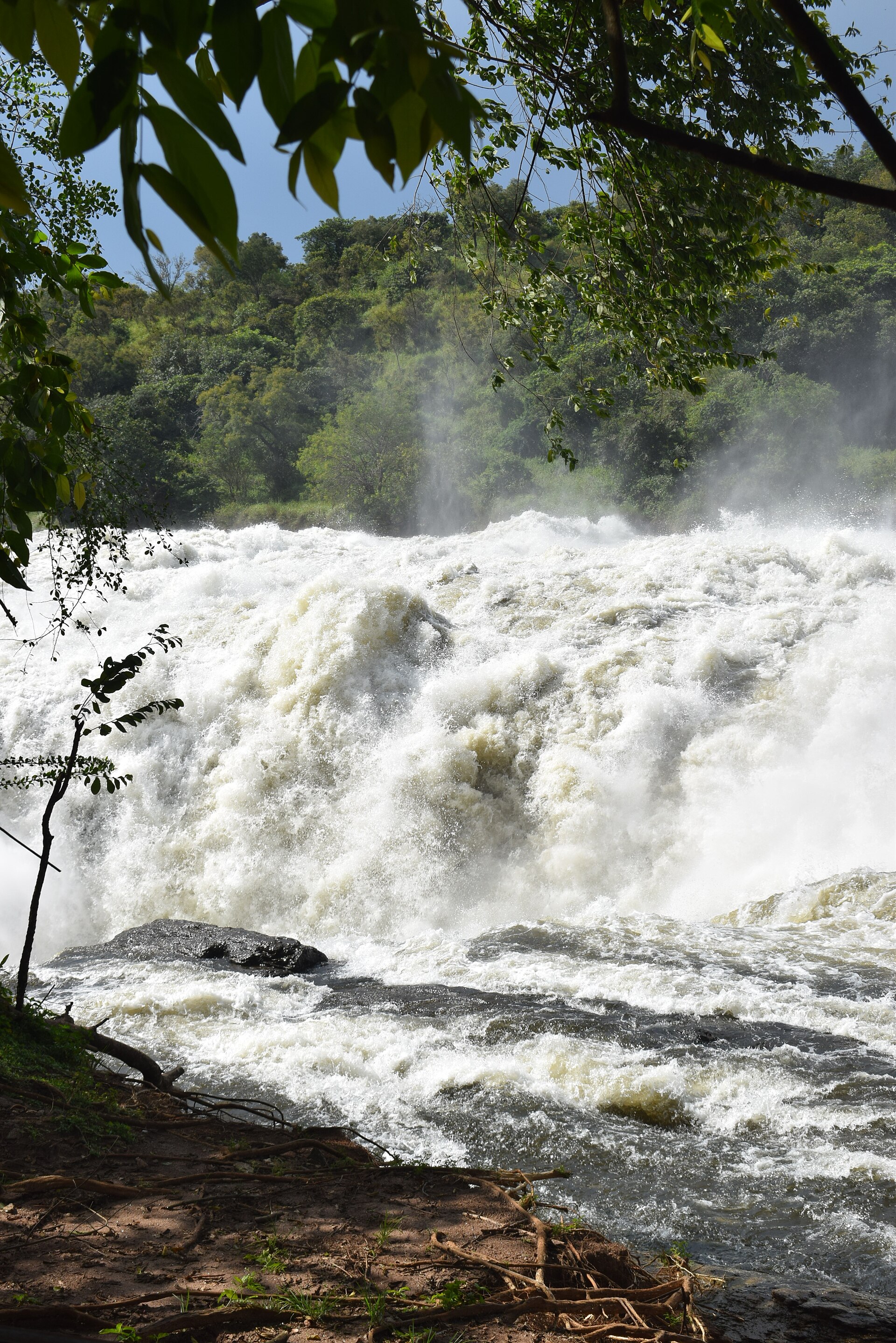 Uganda - 默奇森瀑布(Murchison Falls)